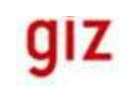 GIZ